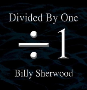 Sherwood Billy - Divided By One in the group CD / Rock at Bengans Skivbutik AB (1521261)
