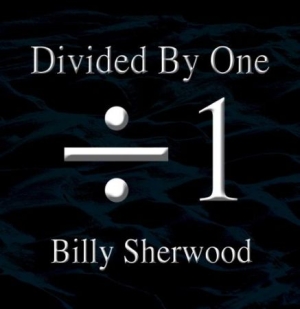 Sherwood Billy - Divided By One in the group CD / Pop-Rock at Bengans Skivbutik AB (1521261)