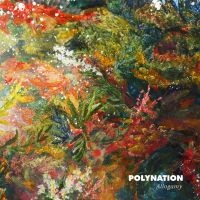 Polynation - Allogamy in the group VINYL / Pop-Rock at Bengans Skivbutik AB (1532924)