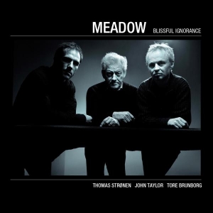 Meadow - Blissful Ignorance in the group CD / Jazz at Bengans Skivbutik AB (1532958)