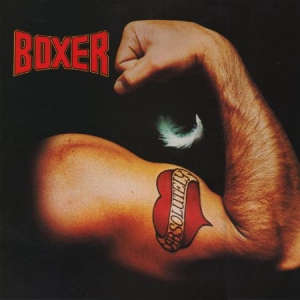 Boxer - Absolutely in the group CD / Rock at Bengans Skivbutik AB (1539797)