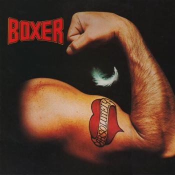 Boxer - Absolutely in the group CD / Bestsellers at Bengans Skivbutik AB (1539797)