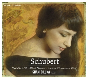 Schubert Franz - Sonata D960 in the group CD / Klassiskt,Övrigt at Bengans Skivbutik AB (1545818)