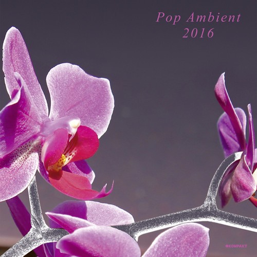 Blandade Artister - Pop Ambient 2016 (Inkl.Cd) in the group OTHER / Övrigt /  at Bengans Skivbutik AB (1551737)