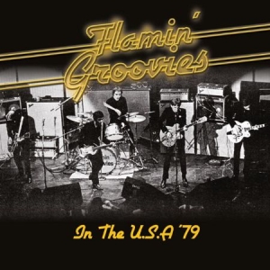 Flaming Groovies - In The Usa '79 in the group CD / Pop-Rock at Bengans Skivbutik AB (1551857)