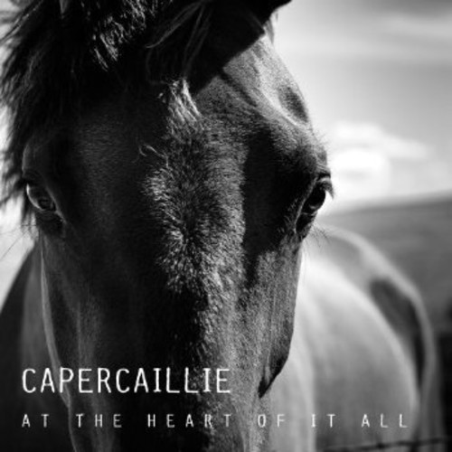 Capercaillie - At The Heart Of It All in the group CD / Worldmusic/ Folkmusik at Bengans Skivbutik AB (1554504)