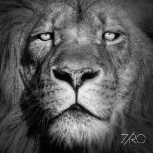 Ziro - Lionheart Ep in the group VINYL / Rock at Bengans Skivbutik AB (1702304)