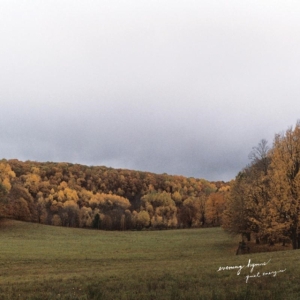 Evening Hymns - Quiet Energies in the group VINYL / Pop-Rock at Bengans Skivbutik AB (1705275)