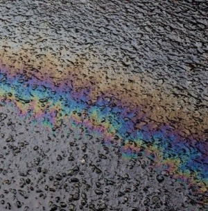 Laurel Halo - In Situ in the group CD / Dans/Techno at Bengans Skivbutik AB (1705346)