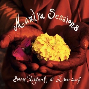 Bosse Skoglund & Zilverzurf - Mantra Sessions in the group CD / Pop at Bengans Skivbutik AB (1709463)