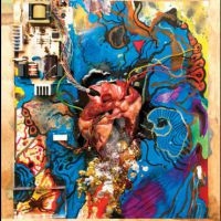 Timmy's Organism - Heartless Heathen in the group Pop-Rock at Bengans Skivbutik AB (1718832)