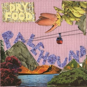 Palehound - Dry Food in the group VINYL / Rock at Bengans Skivbutik AB (1729718)