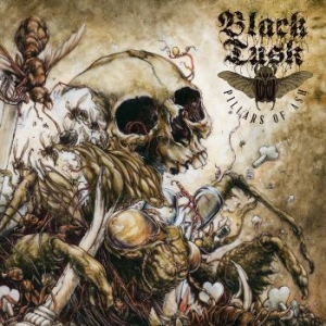 Black Tusk - Pillars Of Ash in the group VINYL / Hårdrock at Bengans Skivbutik AB (1733893)