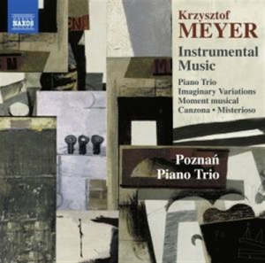Meyer Krzysztof - Instrumental Music in the group Externt_Lager /  at Bengans Skivbutik AB (1735007)