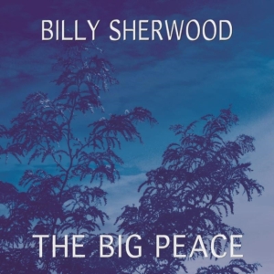 Sherwood Billy - Big Peace in the group CD / Pop-Rock at Bengans Skivbutik AB (1735144)