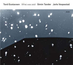 Tord Gustavsensimin Tander Jarle - What Was Said in the group OUR PICKS / Classic labels / ECM Records at Bengans Skivbutik AB (1737257)