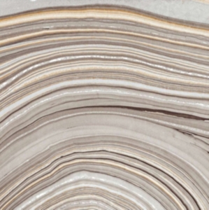 Zomes - Time Was in the group CD / Pop-Rock at Bengans Skivbutik AB (1796765)