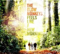 Blow Monkeys - Feels Like A New Morning in the group OUR PICKS / CD Pick 4 pay for 3 at Bengans Skivbutik AB (1796774)