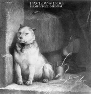 Fm - Surveillance - Remastered Edition in the group CD / Bestsellers at Bengans Skivbutik AB (1796776)