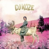 Dj Koze - Amygdala in the group OUR PICKS / Way Out West 2026 at Bengans Skivbutik AB (1796923)