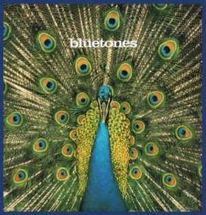 Bluetones - Expecting To Fly - 20Th Ann.Edition in the group VINYL / Rock at Bengans Skivbutik AB (1798114)