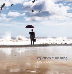 Patterson Tony - Equations Of Meaning in the group CD / Rock at Bengans Skivbutik AB (1798124)