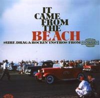 Various Artists - It Came From The Beach: Surf, Drag in the group CD / Pop-Rock at Bengans Skivbutik AB (1810681)