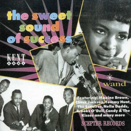 Various Artists - Sweet Sound Of Success in the group OTHER / Övrigt /  at Bengans Skivbutik AB (1811128)