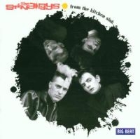 Sting-Rays - From The Kitchen Sink in the group CD / Pop-Rock at Bengans Skivbutik AB (1811544)