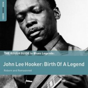 Hooker John Lee - Rough Guide To John Lee Hooker (Reb in the group CD / Jazz/Blues at Bengans Skivbutik AB (1812627)