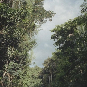 Nelson Zac - New Once in the group OTHER / Övrigt / at Bengans Skivbutik AB (1842331)