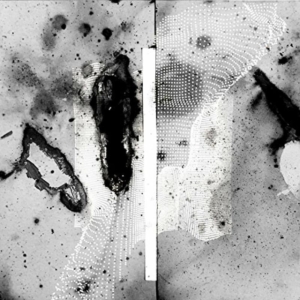 Certain Creatures - Vipassana in the group OTHER / Övrigt / at Bengans Skivbutik AB (1842334)