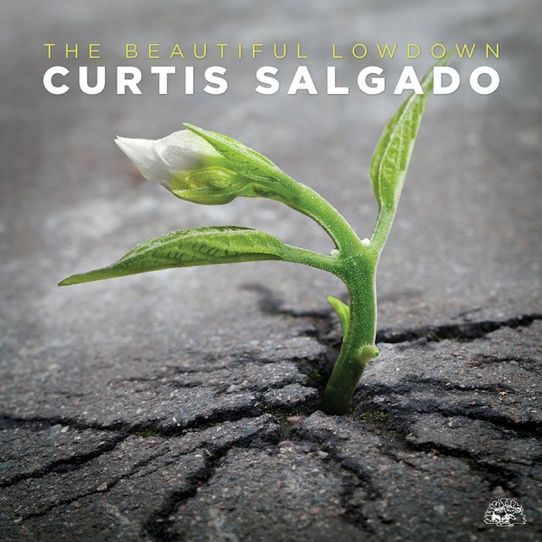 Salgado Curtis - Beautiful Lowdown in the group CD / Bestsellers at Bengans Skivbutik AB (1868256)
