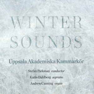 Blandade Artister - Winter Sounds in the group CD / Klassiskt at Bengans Skivbutik AB (1871647)