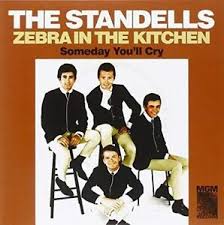 Standells The - Zebra In The Kitchen / Someday You' in the group OUR PICKS / Classic labels / Sundazed / Sundazed Vinyl at Bengans Skivbutik AB (1876426)