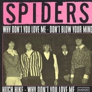 Spiders The - Why Don't You Love Me / Hitch Hike in the group OUR PICKS / Classic labels / Sundazed / Sundazed Vinyl at Bengans Skivbutik AB (1876471)