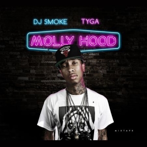 Tyga - Molly Hood Mixtape in the group CD / Hip Hop-Rap at Bengans Skivbutik AB (1877605)