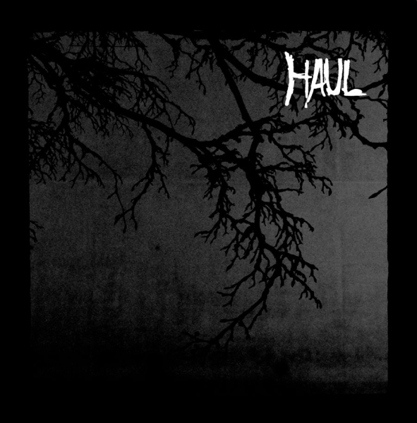 Haul - Seperation in the group VINYL / Rock at Bengans Skivbutik AB (1878761)