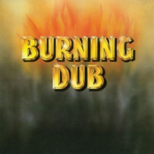 Revolutionaries - Burning Dub in the group CD / Reggae at Bengans Skivbutik AB (1878786)