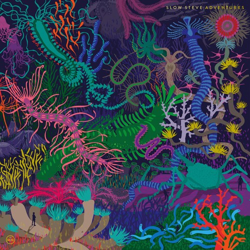 Slow Steve - Adventures in the group VINYL / Rock at Bengans Skivbutik AB (1883845)