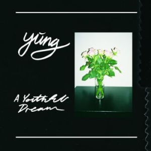 Yung - A Youthful Dream in the group VINYL / Pop at Bengans Skivbutik AB (1890979)
