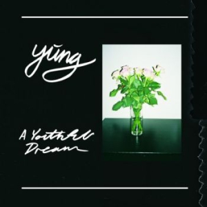 Yung - A Youthful Dream in the group VINYL / Pop-Rock at Bengans Skivbutik AB (1890979)