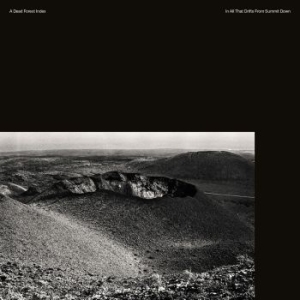 A Dead Forest Index - In All That Drifts From Summit Down in the group VINYL / Rock at Bengans Skivbutik AB (1908204)
