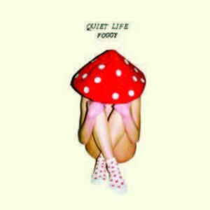 Quiet Life - Foggy in the group CD / Rock at Bengans Skivbutik AB (1909910)