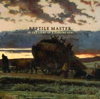 Reptile Master - In The Light Of A Sinking Sun in the group CD / Pop-Rock at Bengans Skivbutik AB (1921763)