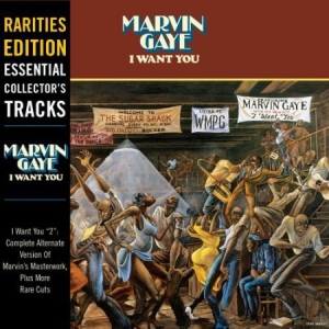 Marvin Gaye - I Want You (Vinyl) i gruppen VINYL / Pop-Rock hos Bengans Skivbutik AB (1927424)