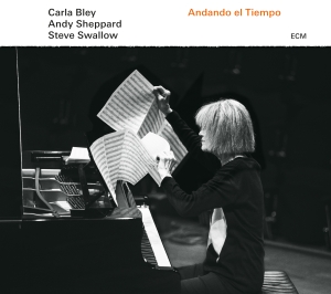 Carla Bleysteve Swallow Andy Shep - Andando El Tiempo in the group VINYL / Jazz at Bengans Skivbutik AB (1946632)
