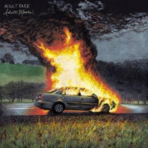 Adult Dude - Adult Moods in the group OTHER / Övrigt /  at Bengans Skivbutik AB (1968533)
