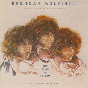 Mulvihill Brendan - Flax In Bloom in the group CD / Elektroniskt at Bengans Skivbutik AB (1968568)