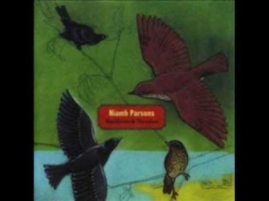 Parsons Niamh - Blackbirds And Thrushes in the group CD / Elektroniskt at Bengans Skivbutik AB (1968687)